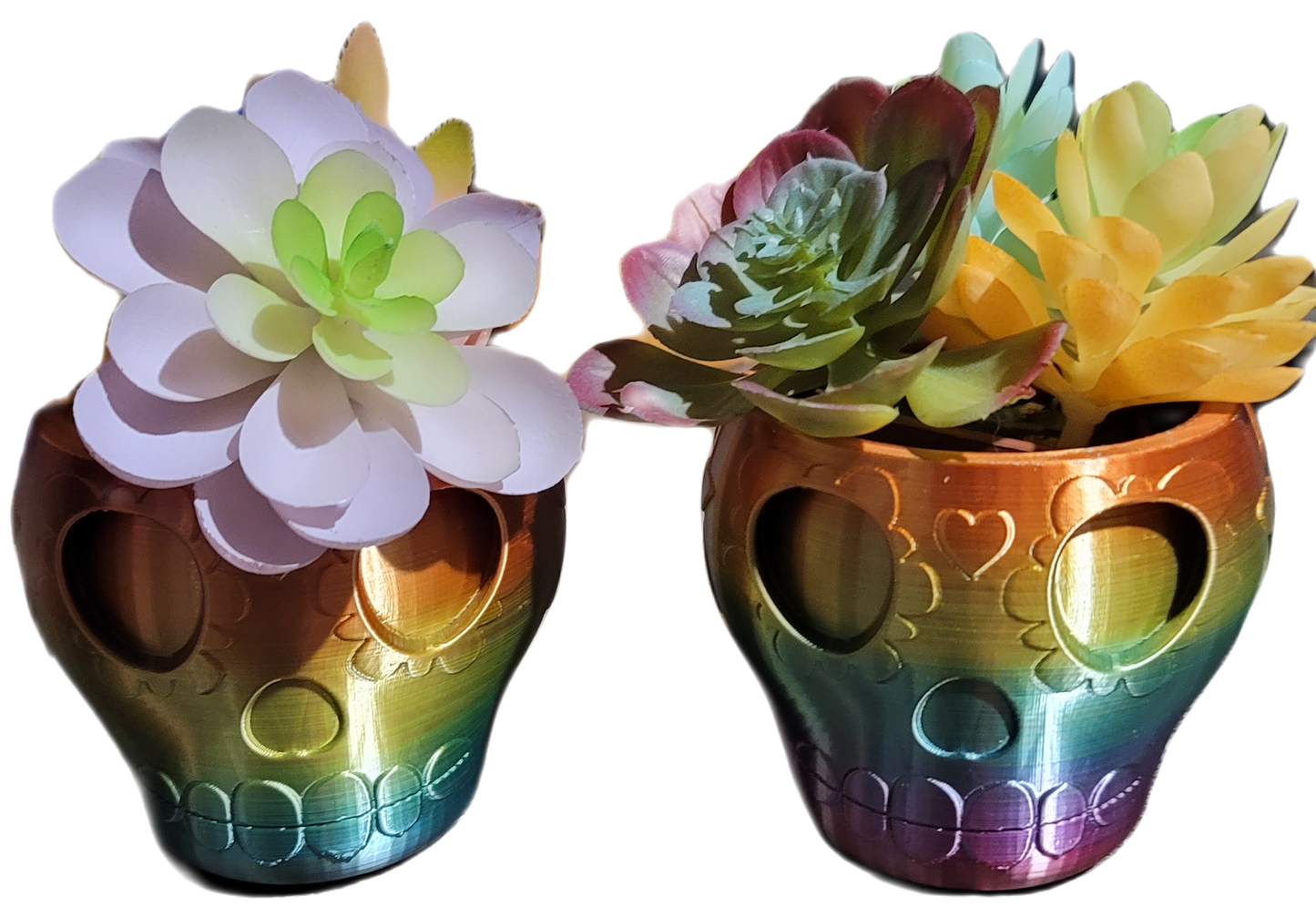 Rainbow floral Sugar Skull